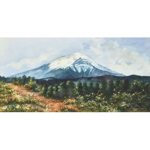 SEVERO AMADOR SANDOVAL : Vista del Popocat�petl (DOBIASCHOFSKY AUKTIONEN AG)