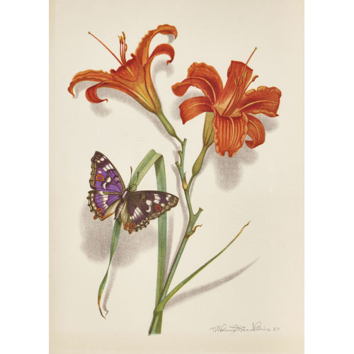 NIKLAUS STOECKLIN : Feuerlilie und Schmetterling (DOBIASCHOFSKY AUKTIONEN AG)