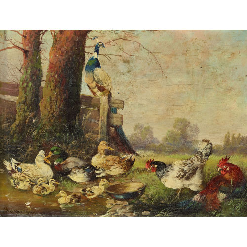 MAX II H�NGER : Enten mit K�ken, H�hner und Pfau (DOBIASCHOFSKY AUKTIONEN AG)