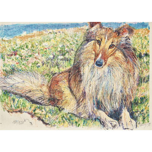 FRITZ HUG : Langhaarcollie (DOBIASCHOFSKY AUKTIONEN AG)