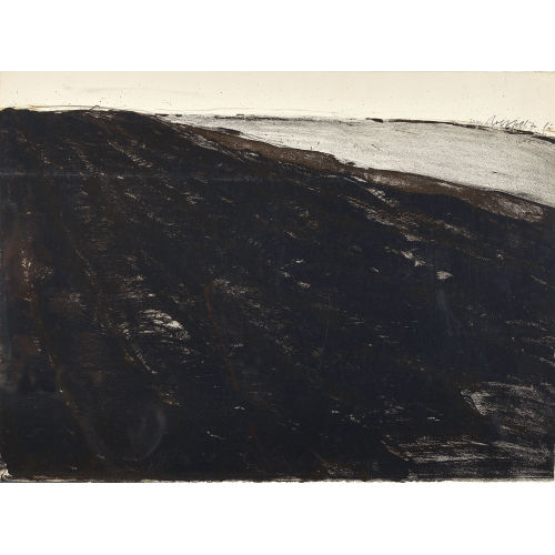 ROLF ISELI : 'Erdblatt Grosses Moos' (DOBIASCHOFSKY AUKTIONEN AG)