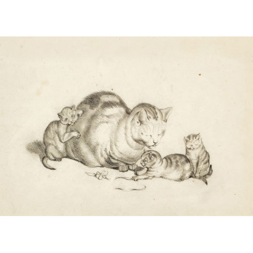 GOTTFRIED MIND : Katzenfamilie (DOBIASCHOFSKY AUKTIONEN AG)