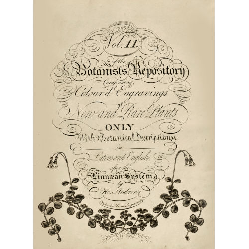 HENRY CHARLES ANDREWS : 'Botanists Repository. Comprising, colour'd Engravings of New and Rare Plants only with Botanical Descriptions in Latin and English after the Linnaean System'.<br>(DOBIASCHOFSKY AUKTIONEN AG)