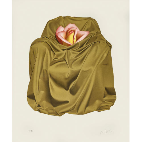 WERNER H�BERLING : Rose im Bett (DOBIASCHOFSKY AUKTIONEN AG)