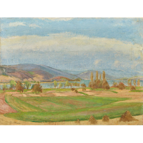 TRAUGOTT SENN : Sommerliche Seeansicht (DOBIASCHOFSKY AUKTIONEN AG)