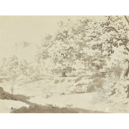 JEAN-ANTOINE LINCK : �tude d'arbres (DOBIASCHOFSKY AUKTIONEN AG)