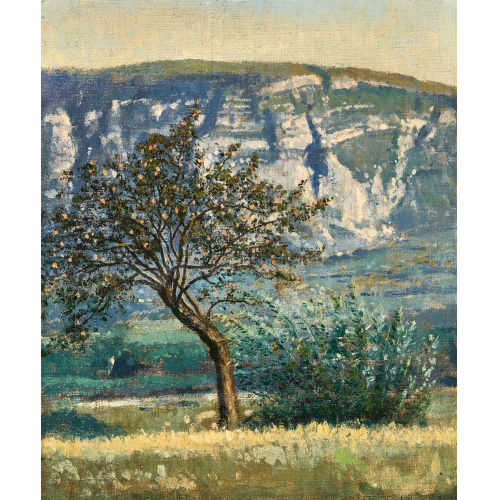 20. JH. SCHWEIZ : Vue de Sal�ve (DOBIASCHOFSKY AUKTIONEN AG)