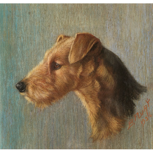 BURKHARD (GEN. KATZEN-FLURY) FLURY : Hundeportr�t (DOBIASCHOFSKY AUKTIONEN AG)