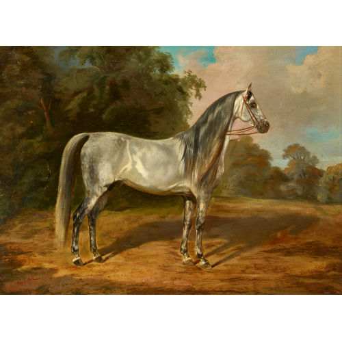 JOSEPH (AUCH HEIKE HEICKE : Portrt eines Schimmels (DOBIASCHOFSKY AUKTIONEN AG)