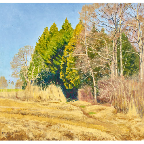 PLINIO COLOMBI : Herbstlandschaft am Waldrand (DOBIASCHOFSKY AUKTIONEN AG)