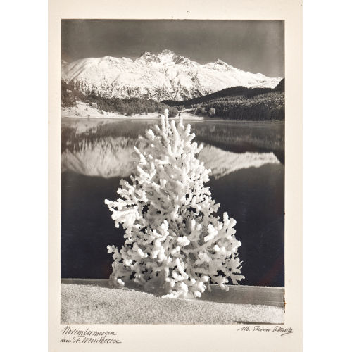 ALBERT STEINER : 'Novembermorgen am St. Moritzersee' (DOBIASCHOFSKY AUKTIONEN AG)