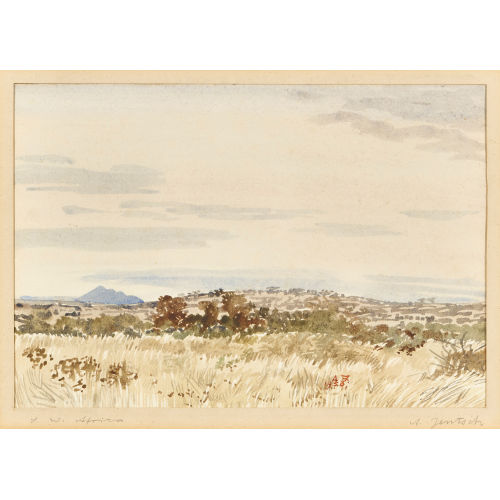 ADOLPH STEPHAN FRIEDRICH JENTSCH : 'S.W. Africa' (DOBIASCHOFSKY AUKTIONEN AG)