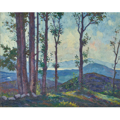 CHRISTOPH FRIEDRICH OEHLER : 'Lago Maggiore von Bedigliora aus gesehen' (DOBIASCHOFSKY AUKTIONEN AG)