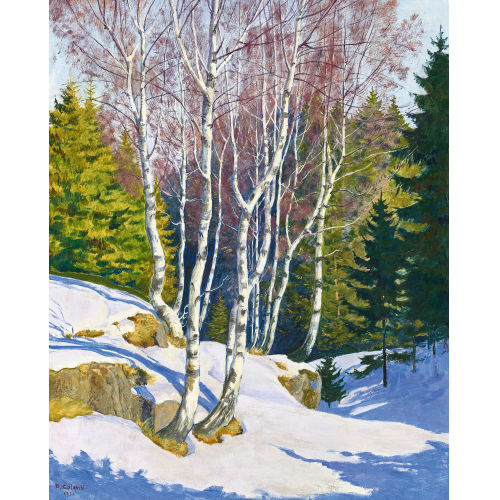 PLINIO COLOMBI : Besonnter Bergwald im Winter (DOBIASCHOFSKY AUKTIONEN AG)