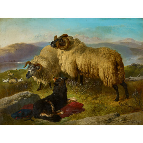 GEORGE WILLIAM HORLOR : Schafe mit Hirtenhund (DOBIASCHOFSKY AUKTIONEN AG)