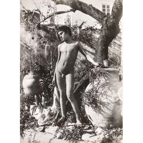 WILHELM VON GLOEDEN : Unbekleideter J�ngling in arkadischer Landschaft (DOBIASCHOFSKY AUKTIONEN AG)
