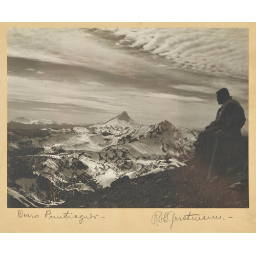 ROBERT GERSTMANN : 'Puntiagudo' (DOBIASCHOFSKY AUKTIONEN AG)
