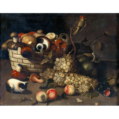 JAQUES VAN DE (GEN. GIACOMO DA CASTELLO) KERCKHOVEN : Stillleben mit Obst, Pilzen, Vogel und Meerschweinchen (DOBIASCHOFSKY AUKTIONEN AG)