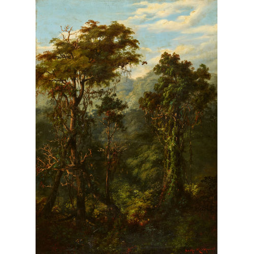 ADOLF METHFESSEL : Regenwald (DOBIASCHOFSKY AUKTIONEN AG)