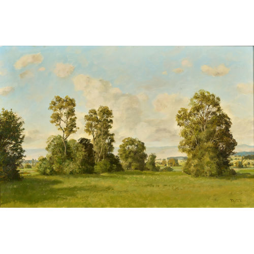 RUDOLF M�LLER : 'Das grosse Moos, Siselen' (DOBIASCHOFSKY AUKTIONEN AG)
