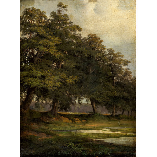 ROBERT Z�ND : B�ume am Ufer (DOBIASCHOFSKY AUKTIONEN AG)