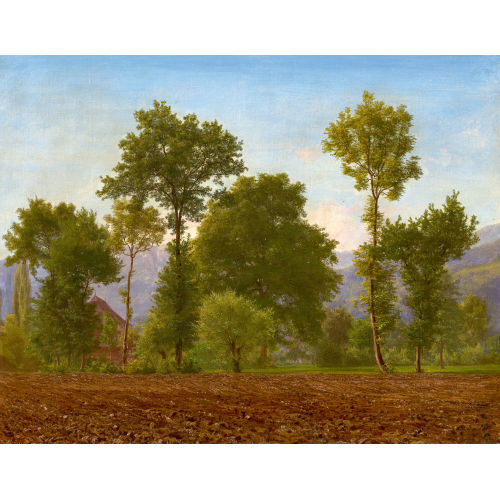 ROBERT ZND : 'Morgenstimmung bei Horw' (DOBIASCHOFSKY AUKTIONEN AG)