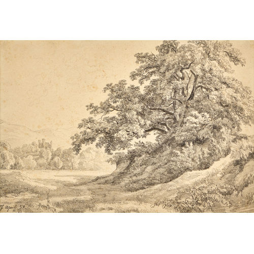 ROBERT Z�ND : Landschaft mit Ruine Neuhabsburg (DOBIASCHOFSKY AUKTIONEN AG)