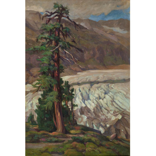 MARIE ROLL� : 'L�rche am Aletschgletscher' (DOBIASCHOFSKY AUKTIONEN AG)