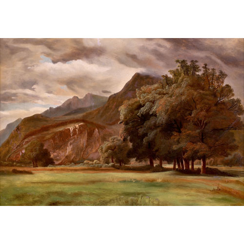19. JH. SCHWEIZ : 'Rhoneebene bei Roches' (DOBIASCHOFSKY AUKTIONEN AG)