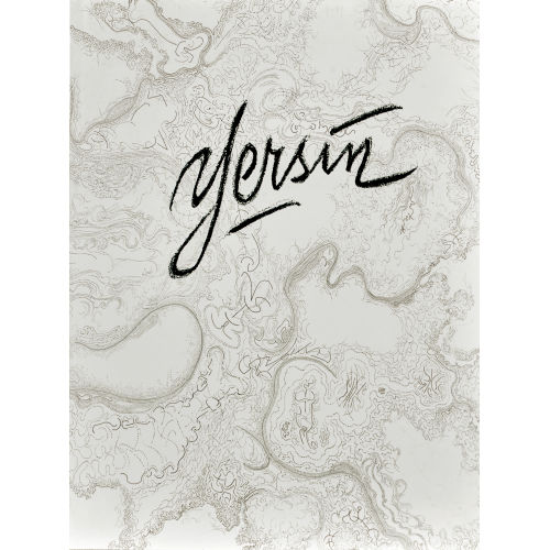 ALBERT EDGAR YERSIN : Fran�oise Simecek: 'Catalogue raisonn� de l'oeuvre grav� et lithographi� de A.-E. Yersin' (DOBIASCHOFSKY AUKTIONEN AG)