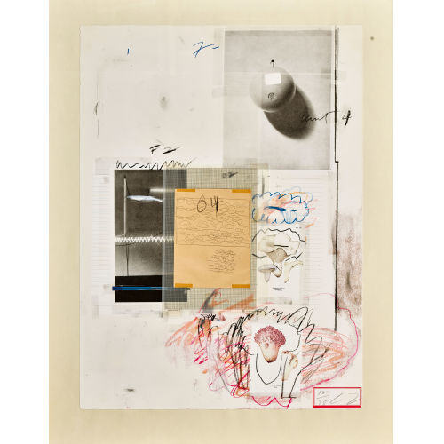 CY (EIGTL. TWOMBLY TWOMBLY : 'Natural History Part I/No VIII' (DOBIASCHOFSKY AUKTIONEN AG)