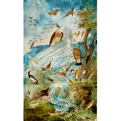 JOHANN EMANUEL WYSS : 'Naturhistorische Abbildung von Schweizerschen V�geln, mit deren Beschreibungen und sonstigen Bemerkungen meist selbst gesammlet. Und nach der Natur verfertigt...' (DOBIASCHOFSKY AUKTIONEN AG)