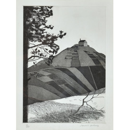 DAVID HOCKNEY : 'A Wodded Landscape' (DOBIASCHOFSKY AUKTIONEN AG)
