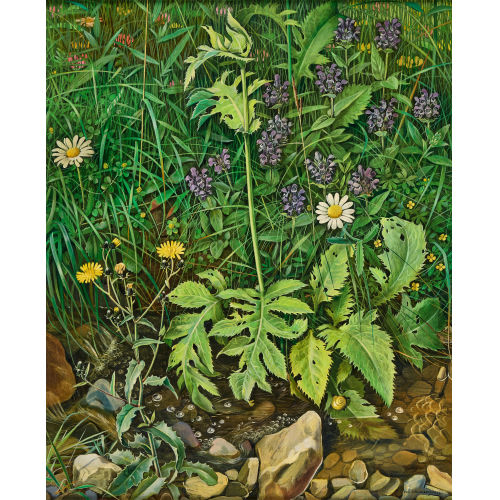 HANS RUDOLF SCHWARZENBACH : Wiesenblumen am Bach (DOBIASCHOFSKY AUKTIONEN AG)