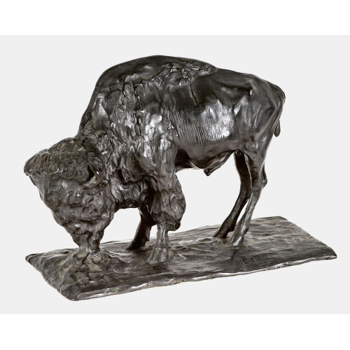 REMBRANDT BUGATTI : Bison d'Am�rique (DOBIASCHOFSKY AUKTIONEN AG)