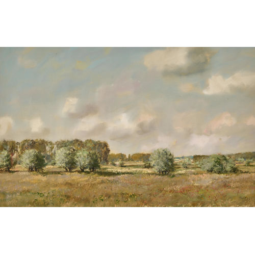 RUDOLF M�LLER : Weite Landschaft (DOBIASCHOFSKY AUKTIONEN AG)