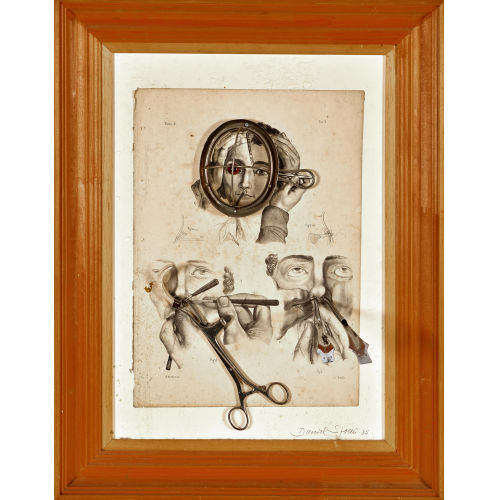 DANIEL SPOERRI : 'Malattie delle Pelle/Dtrompe l'oeil' (DOBIASCHOFSKY AUKTIONEN AG)