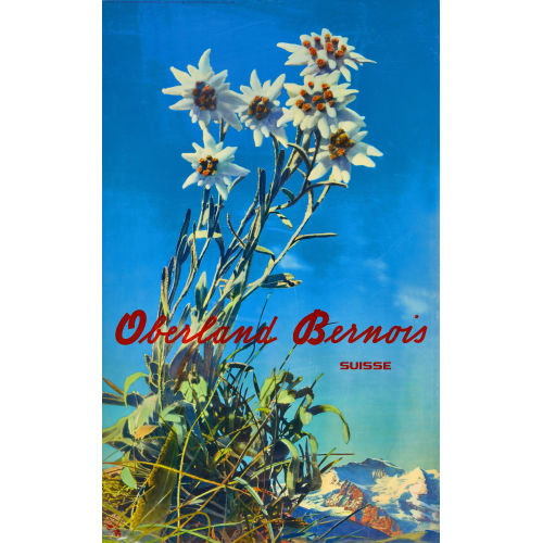 ALBERT STEINER : 'Oberland Bernois' (DOBIASCHOFSKY AUKTIONEN AG)