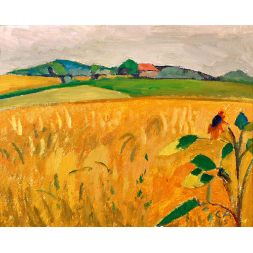 CUNO AMIET : Sommerliche Feldlandschaft (DOBIASCHOFSKY AUKTIONEN AG)