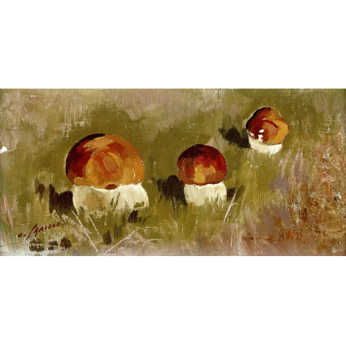 CHARLES PARISOD : Les bolets (DOBIASCHOFSKY AUKTIONEN AG)