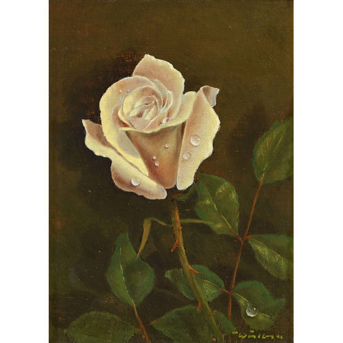 WALTER) FELBRA (EIGTL. FELLER-BRAND : Rose mit Tautropfen (DOBIASCHOFSKY AUKTIONEN AG)