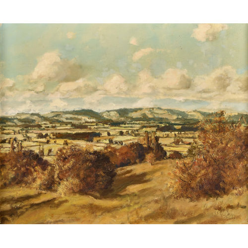 RUDOLF M�LLER : 'La Plaine d'Avenches' (DOBIASCHOFSKY AUKTIONEN AG)