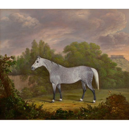 CLIFTON TOMSON : Cheval blanc (DOBIASCHOFSKY AUKTIONEN AG)