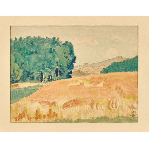 BRUNO HESSE : Sommerfeld bei Spych (DOBIASCHOFSKY AUKTIONEN AG)