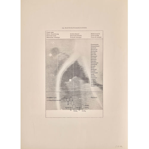 SIGMAR POLKE : 'Fernsehbild Eishockey (Rauwolfiaalkaloide)' (DOBIASCHOFSKY AUKTIONEN AG)