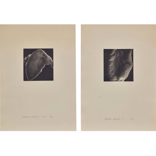BALTHASAR BURKHARD : Ohne Titel (DOBIASCHOFSKY AUKTIONEN AG)