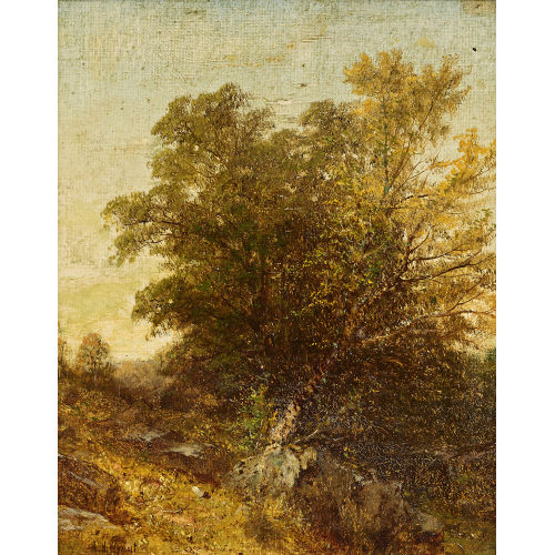 ALEXANDER HELWIG WYANT : Landscape (DOBIASCHOFSKY AUKTIONEN AG)