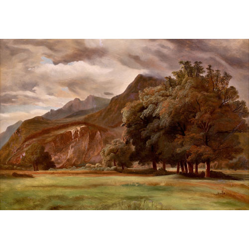 19. JH. SCHWEIZ : 'Rhoneebene bei Roches' (DOBIASCHOFSKY AUKTIONEN AG)