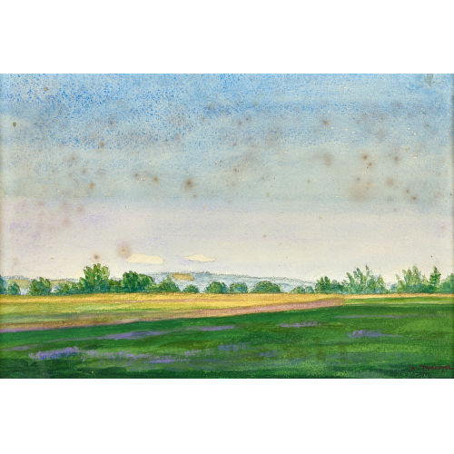 ALBERT TRACHSEL : Weite Wiesen- und Feldlandschaft (DOBIASCHOFSKY AUKTIONEN AG)