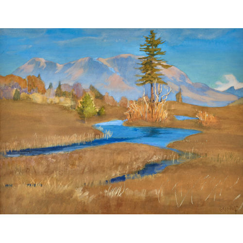 ERNST KREIDOLF : 'Hochmoor' (DOBIASCHOFSKY AUKTIONEN AG)